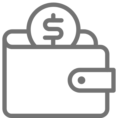 savvy project cost